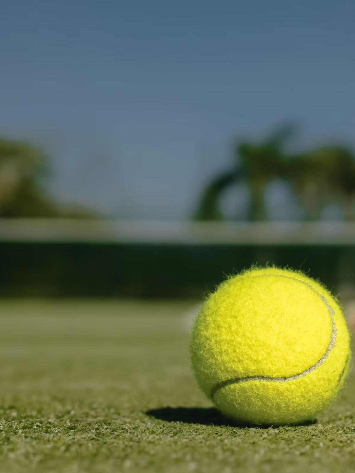 Tennisball auf dem Platz – Hintergrund zu Coach-Kriterien.